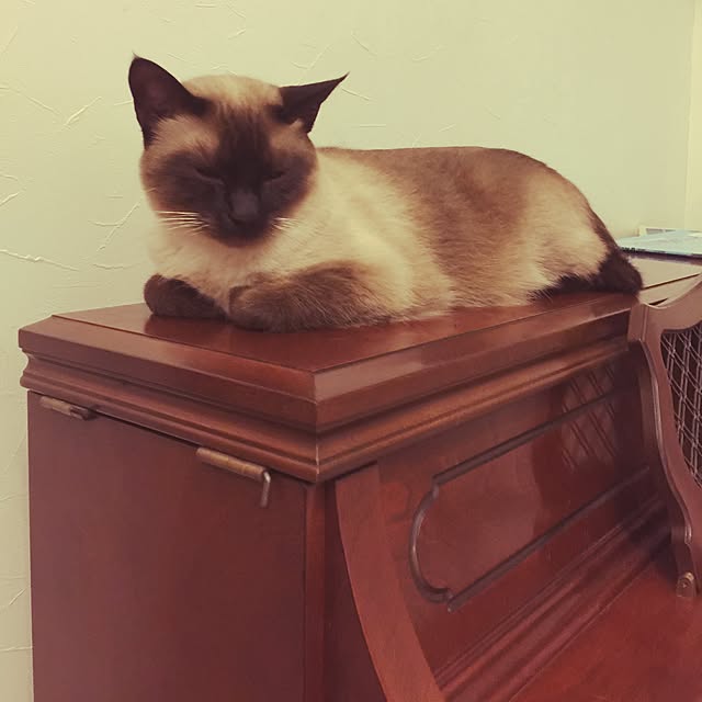 yumoさんの実例写真