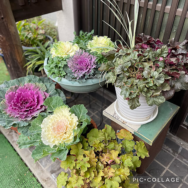 buchiさんの実例写真