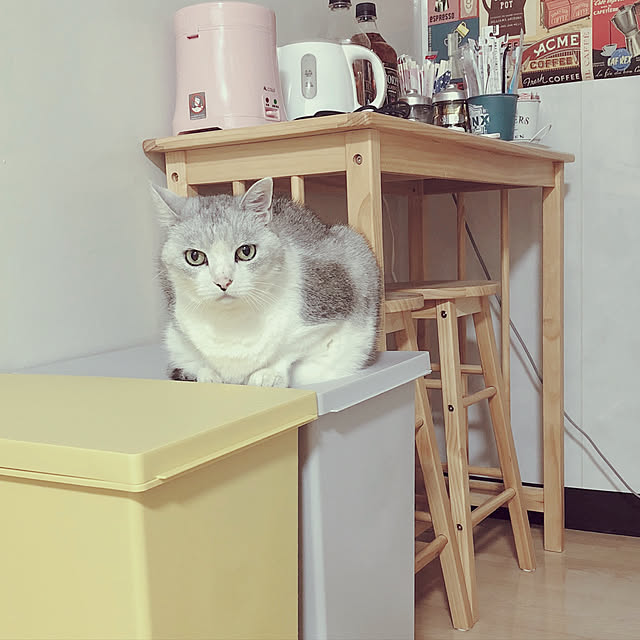 Lisbethさんの実例写真