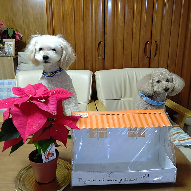 yumirinさんの実例写真