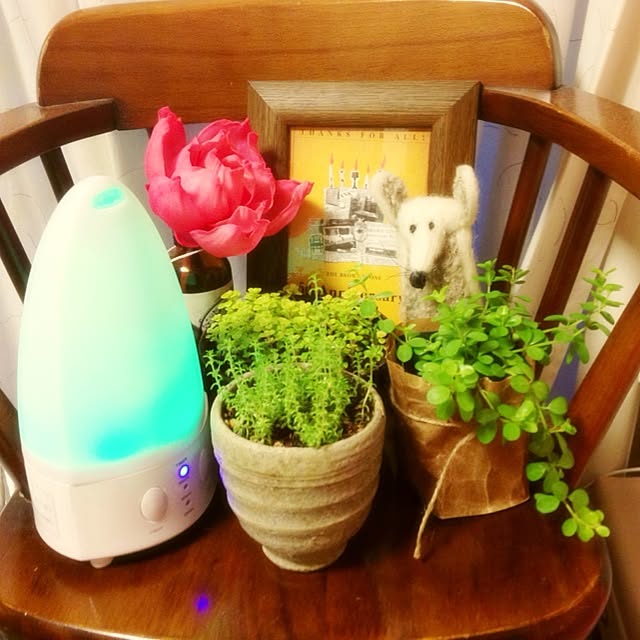 OPさんの実例写真