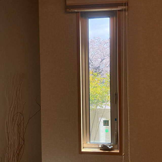 An50さんの実例写真