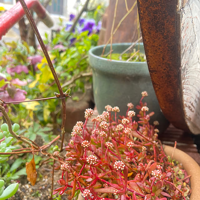 na-chanさんの部屋