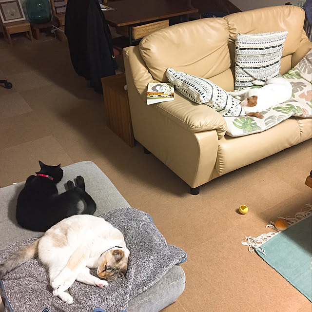 nanaさんの実例写真
