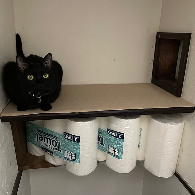 coolcats0528さんの部屋