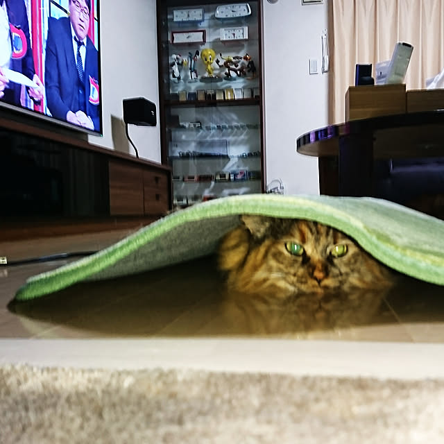 nekomajinさんの実例写真