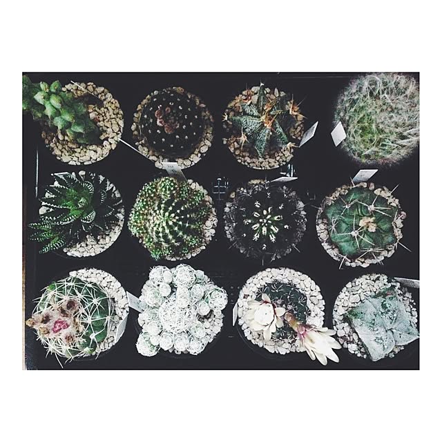 MMさんの実例写真