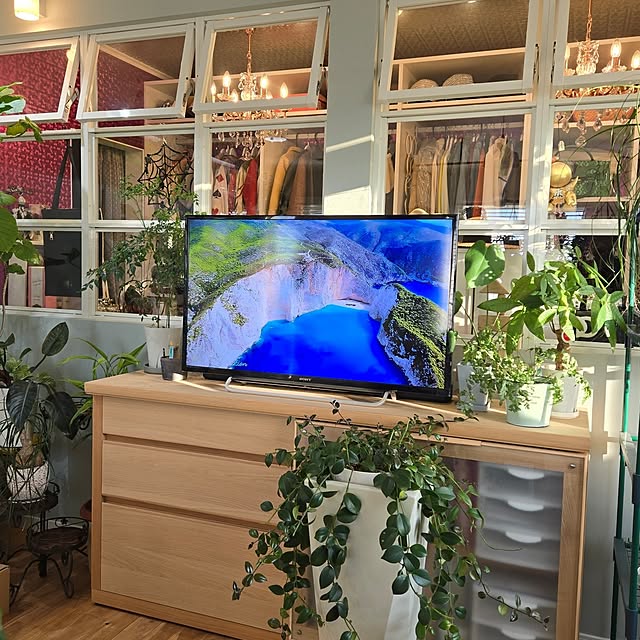 nonbiri_house_さんの部屋