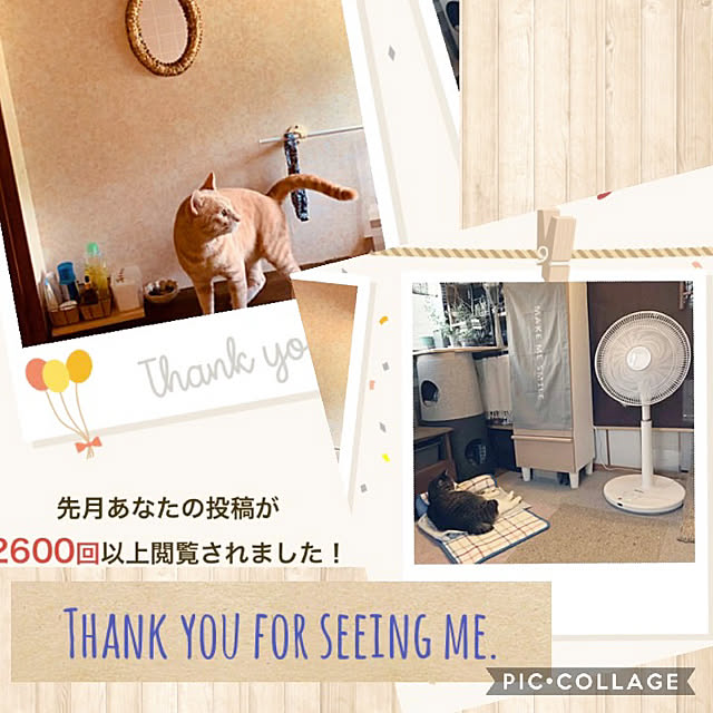 simayaさんの実例写真