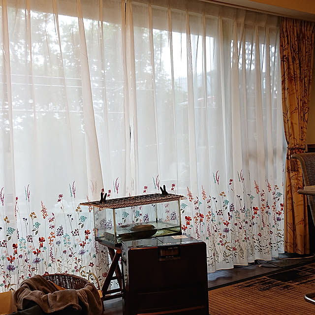 okyosan101さんの実例写真