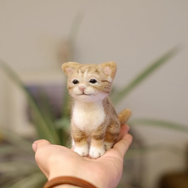 taka55さんの実例写真