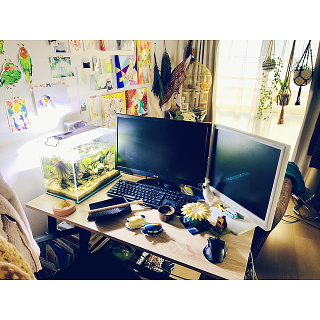 parrotさんの実例写真