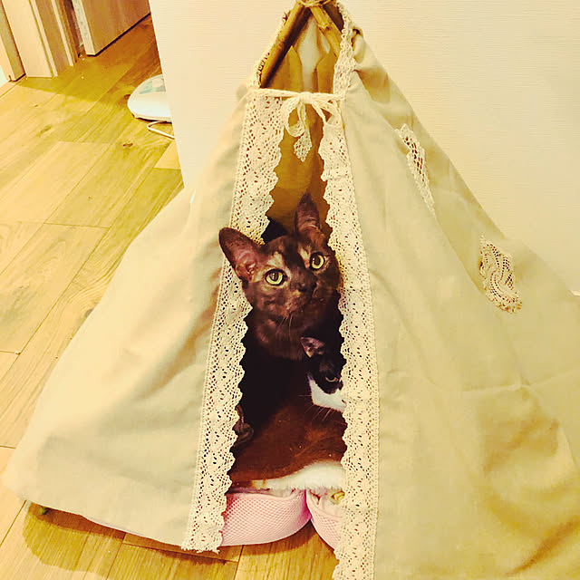 sakura_171220さんの実例写真
