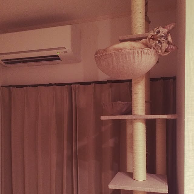 miniさんの実例写真