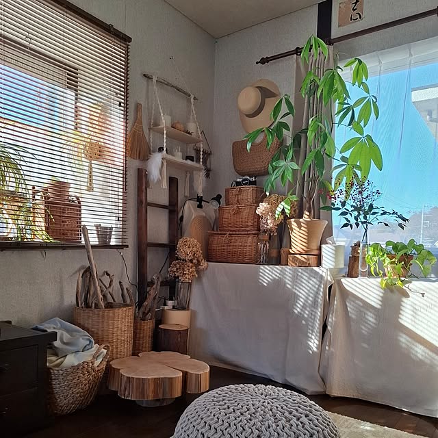 midoriさんの実例写真