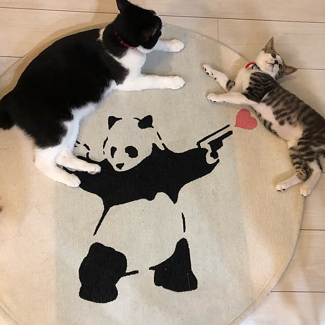 実例写真