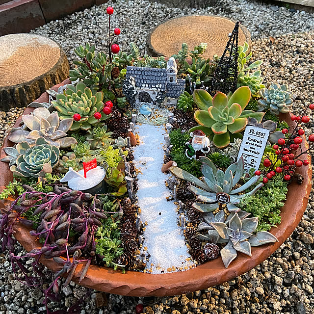 多肉植物 クリスマス多肉のおしゃれなアレンジ・飾り方の 多肉植物 クリスマス多肉のおしゃれなアレンジ・飾り方の