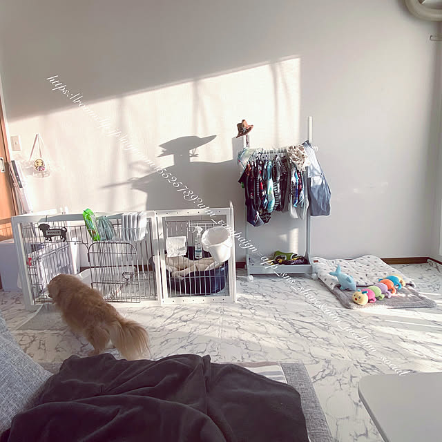 locaさんの実例写真