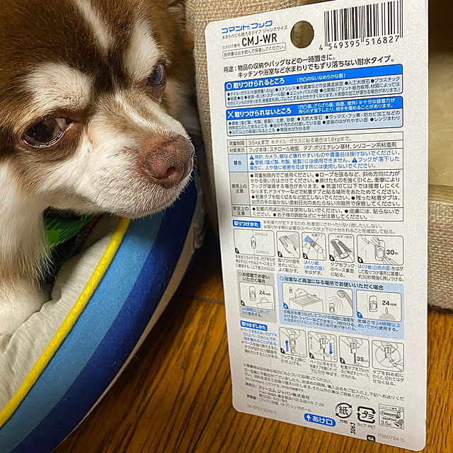 chIoeさんの部屋