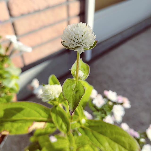 kiraさんの部屋