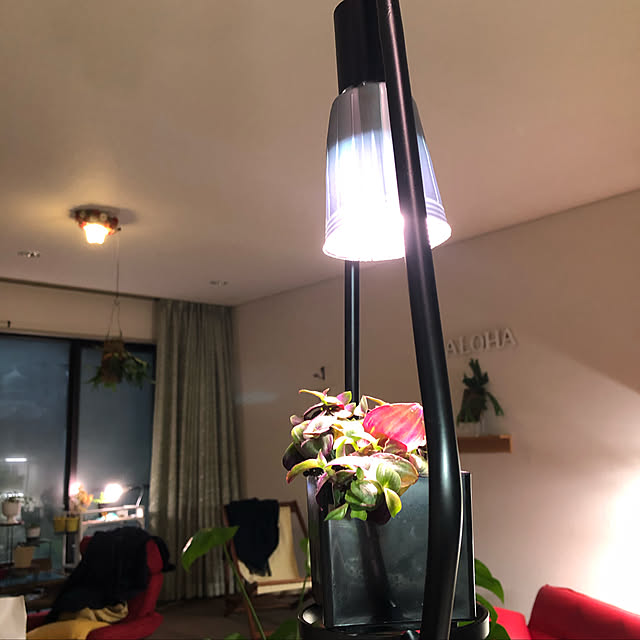 alohalightさんの実例写真