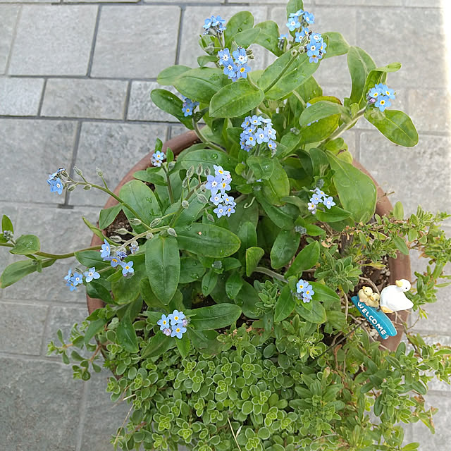 Rさんの実例写真