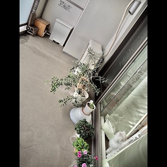 miravivianさんの実例写真