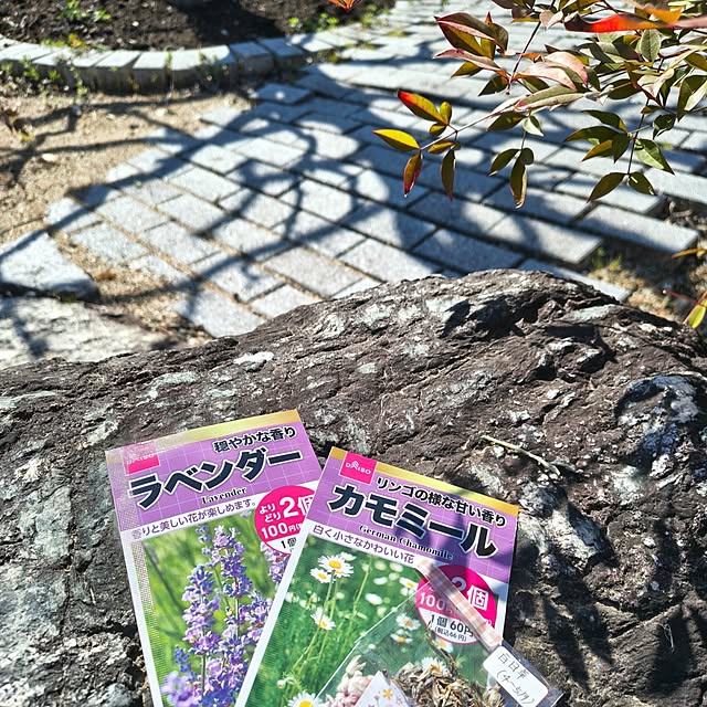 Rubiconさんの実例写真