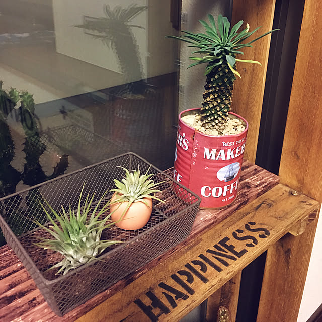 UNさんの実例写真