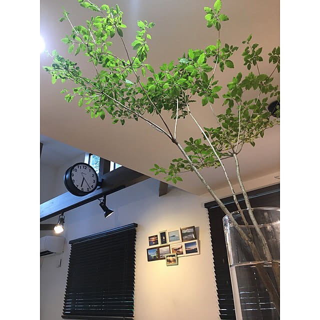 Evezhouseさんの実例写真