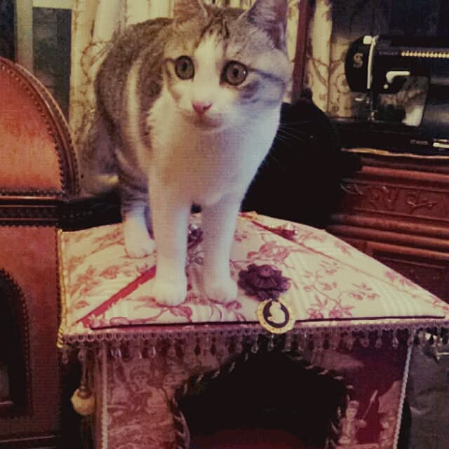emmyyさんの実例写真