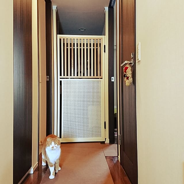 Sachiさんの実例写真