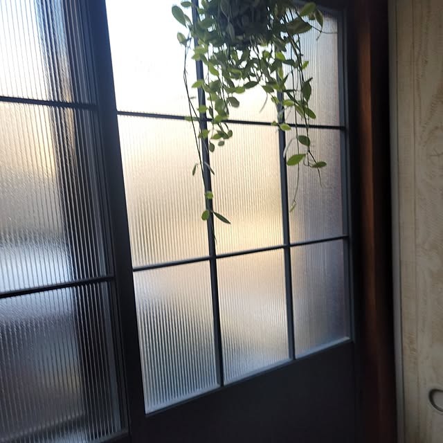 saku-naraさんの実例写真