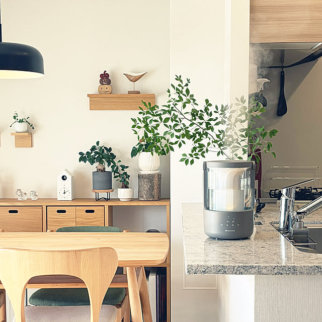 Anthuriumさんの部屋