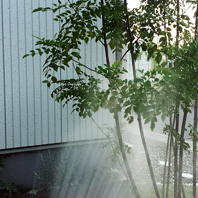 apicoさんの実例写真