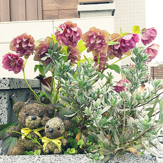 saichanさんの実例写真