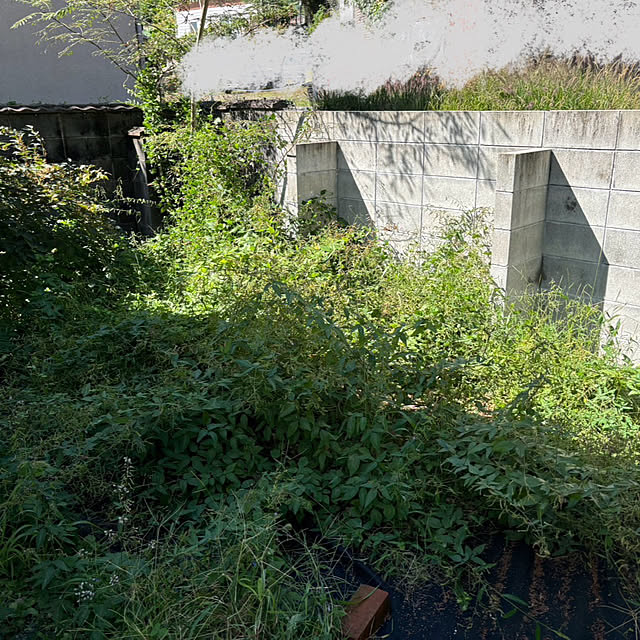 makkoさんの部屋