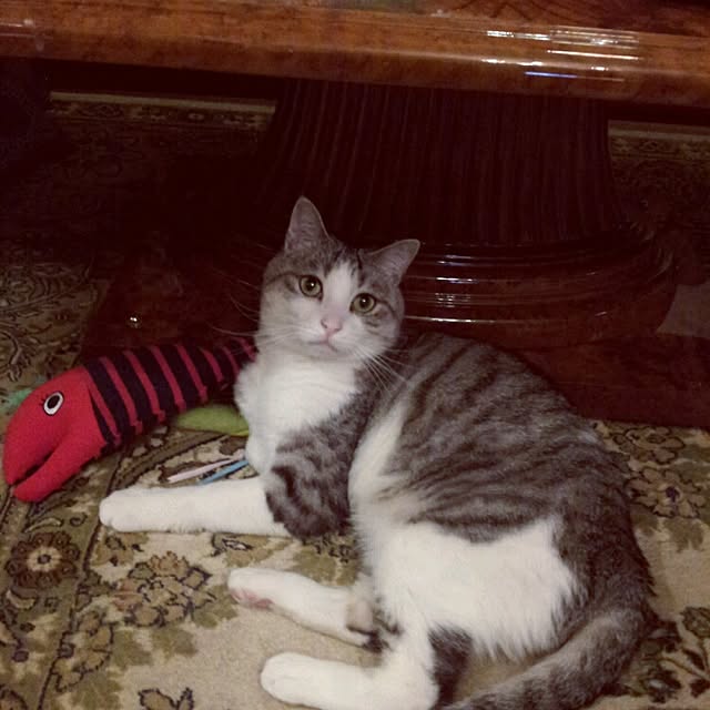 emmyyさんの実例写真
