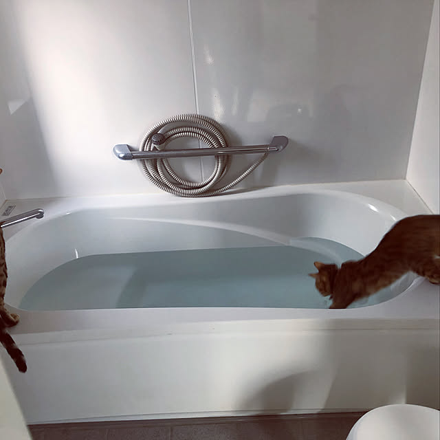 iranさんの実例写真