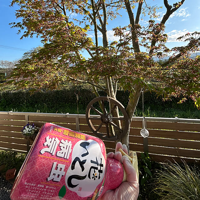 nana77さんの部屋
