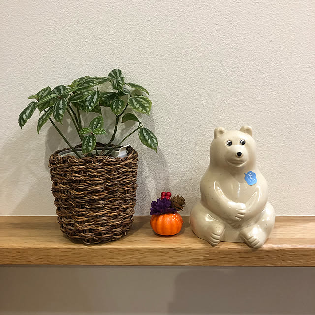 Ri-chanさんの実例写真