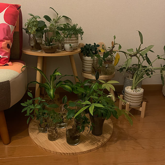 実例写真