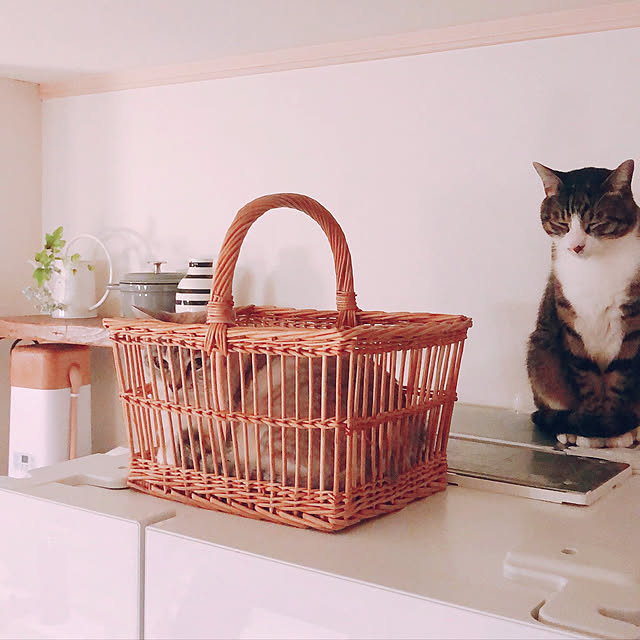 milkcocoaさんの実例写真