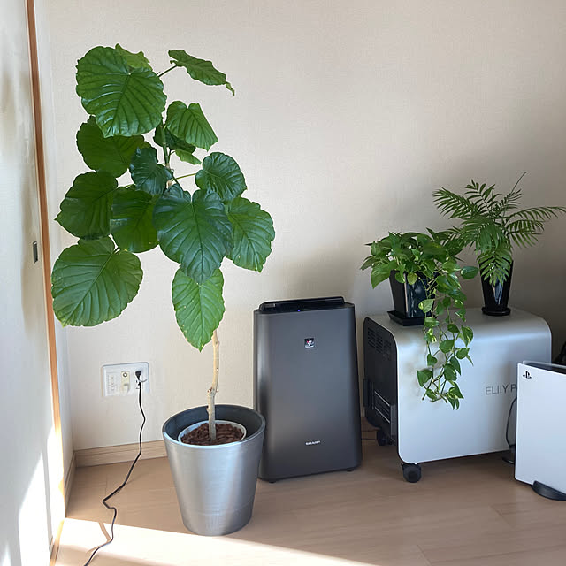 LoveMさんの部屋