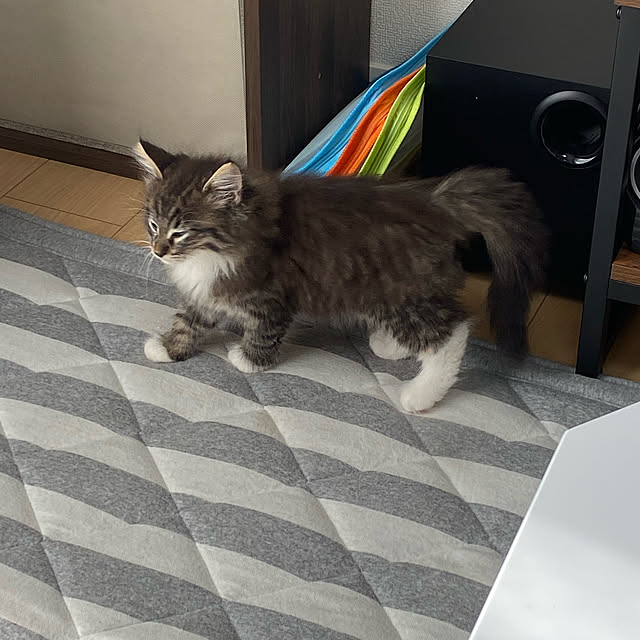 sh.0514さんの実例写真