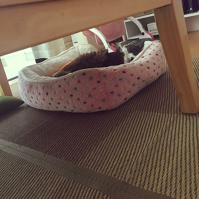 kanaさんの実例写真