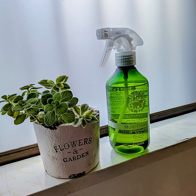 Renさんの実例写真