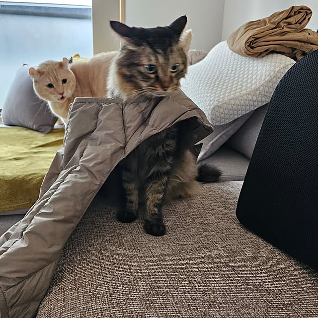 makoさんの部屋