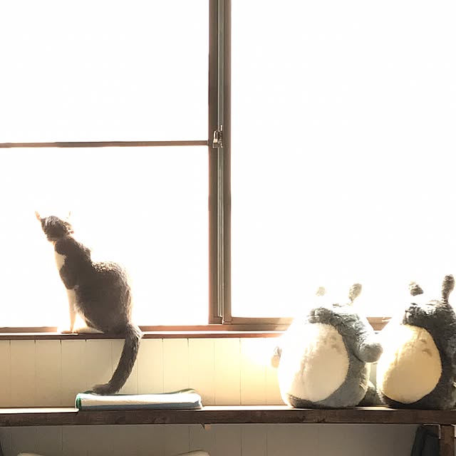 hacchiさんの実例写真