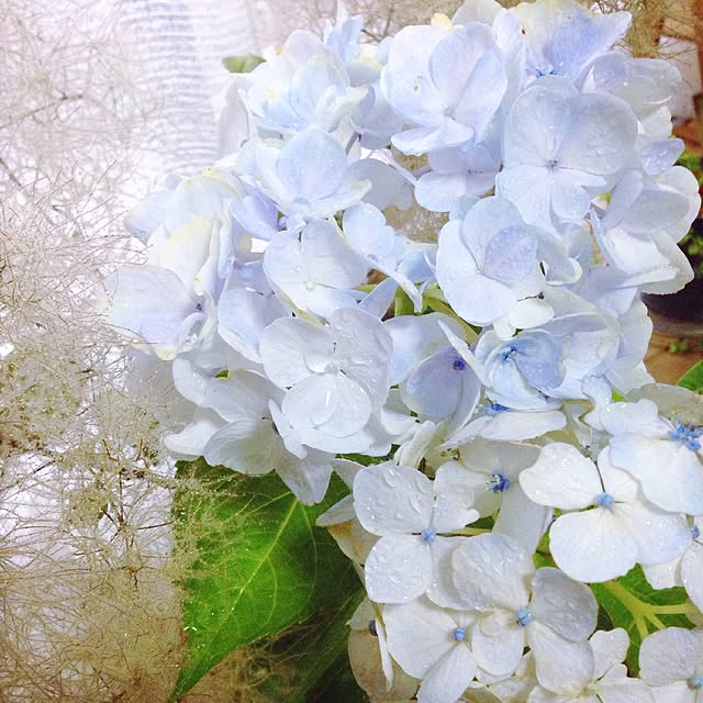 jyuzoさんの実例写真